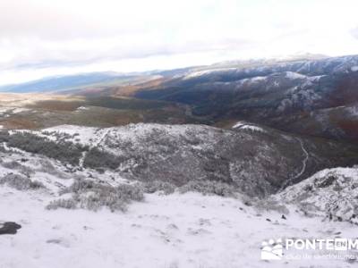 Hayedo de Pedrosa - Parque Natural Sierra Norte de Guadalajara - Hayedo de Tejera Negra